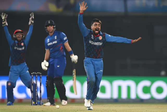 Most Wickets in T20I Cricket